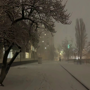 少妇与宠物作爱未删减版在线观看
