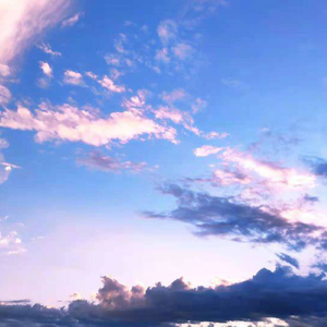 少妇与宠物作爱未删减版在线观看
